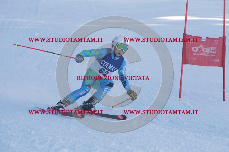 IMG_8094.JPG