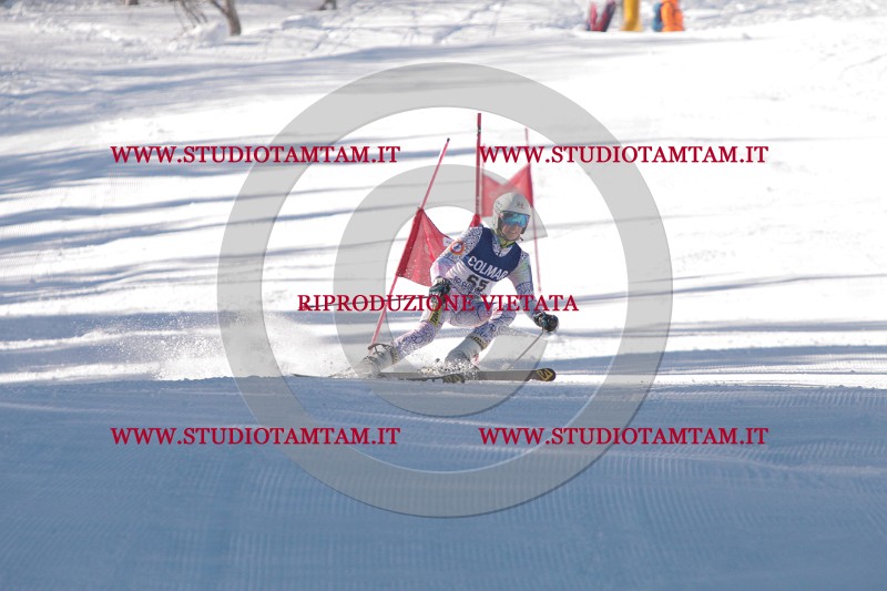 IMG_8120.JPG
