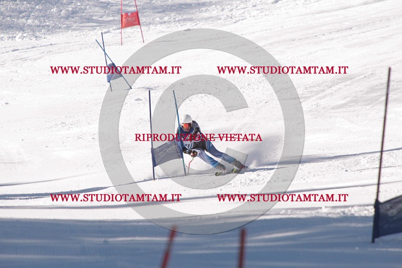 IMG_8176.JPG