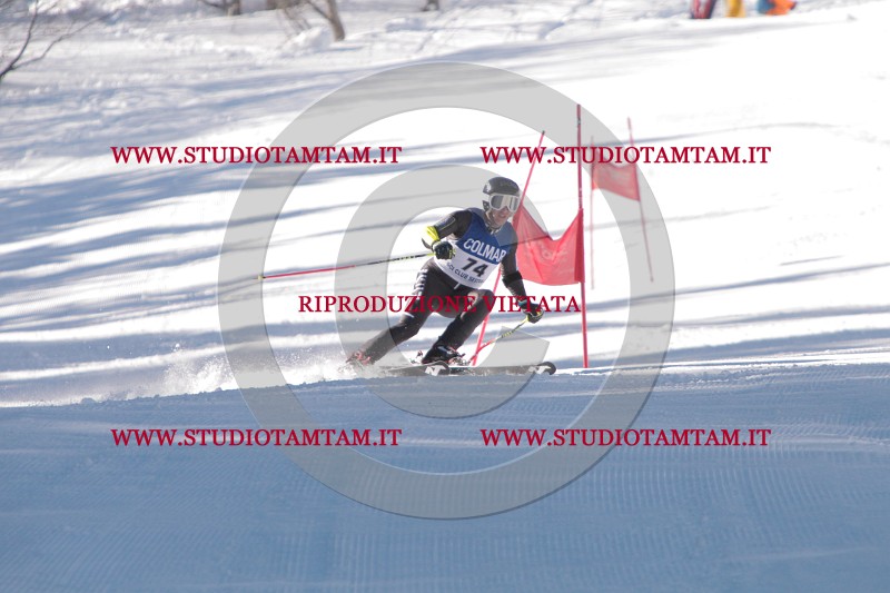 IMG_8221.JPG