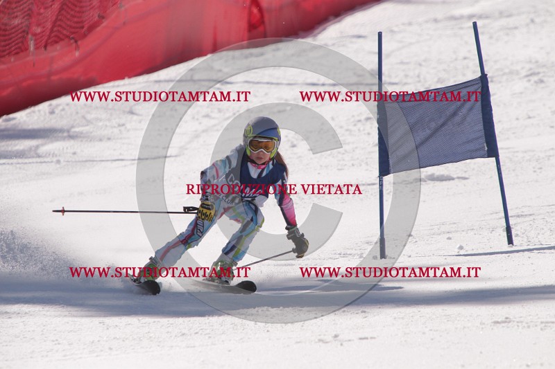 IMG_8416.JPG