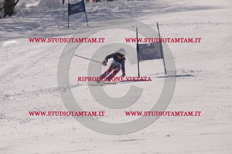 IMG_8481.JPG