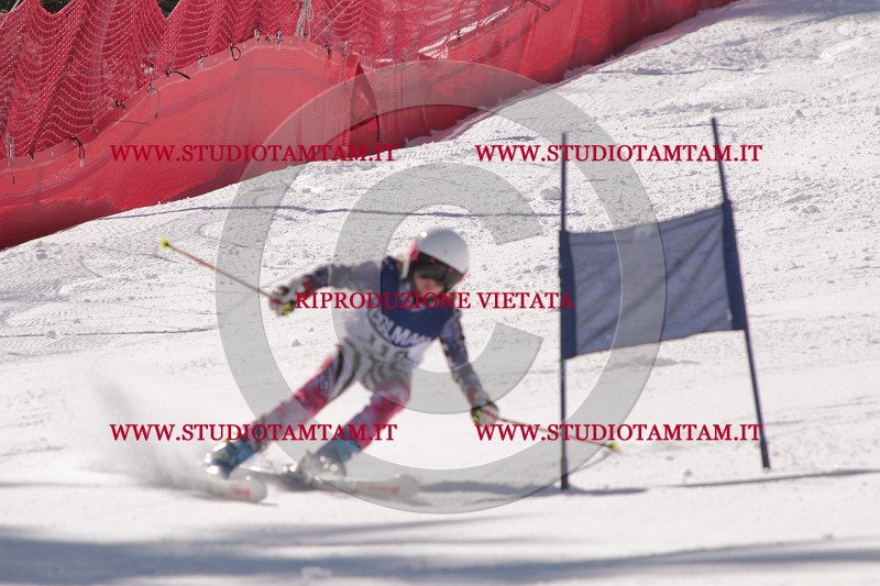 IMG_8486.JPG