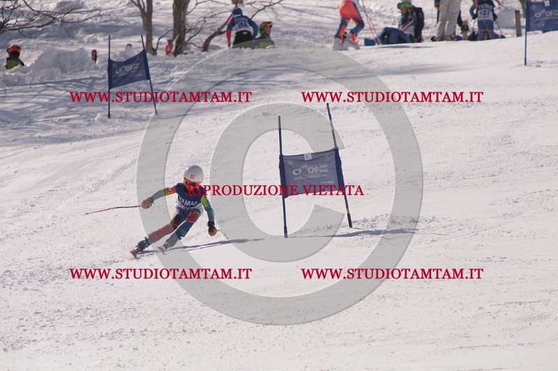 IMG_8554.JPG