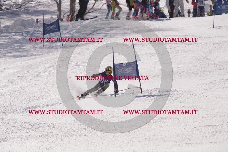 IMG_8669.JPG