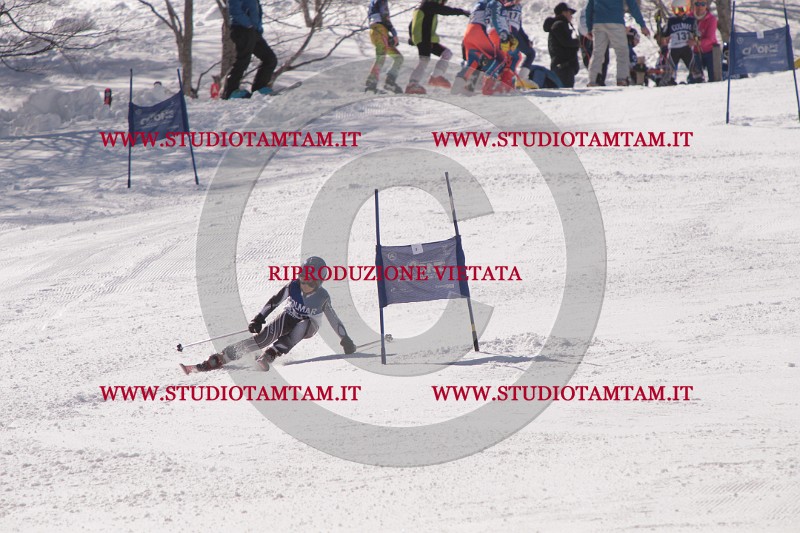 IMG_8684.JPG