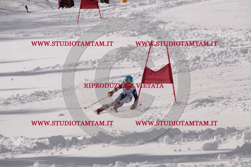 IMG_6715.JPG