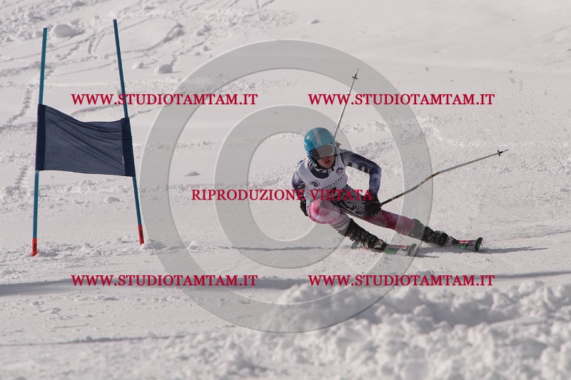 IMG_6737.JPG