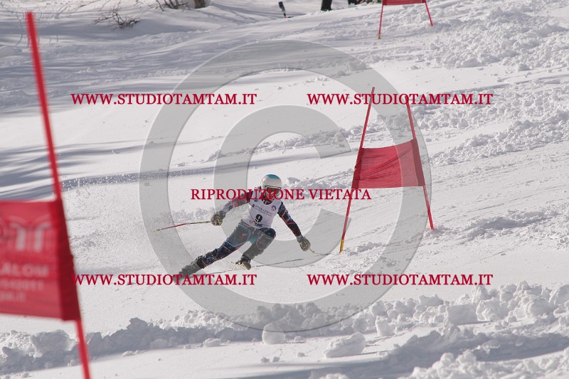 IMG_6777.JPG