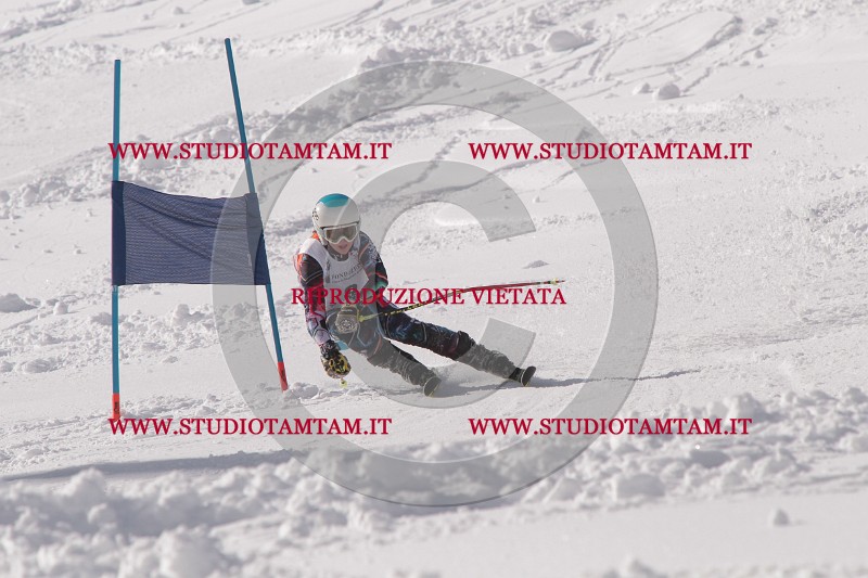 IMG_6778.JPG