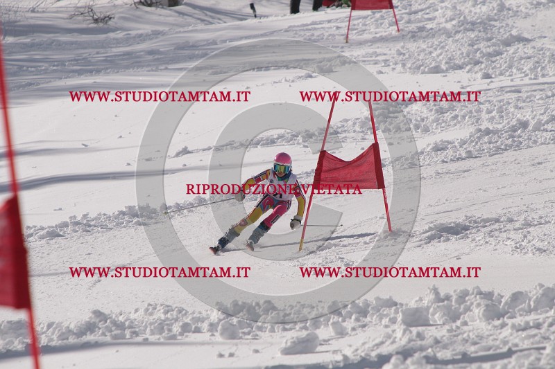 IMG_6871.JPG