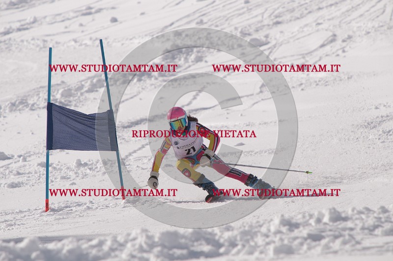 IMG_6875.JPG