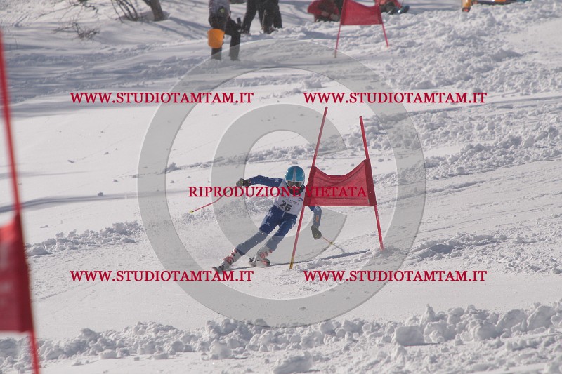 IMG_6916.JPG