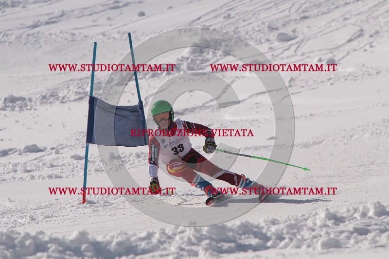 IMG_6987.JPG