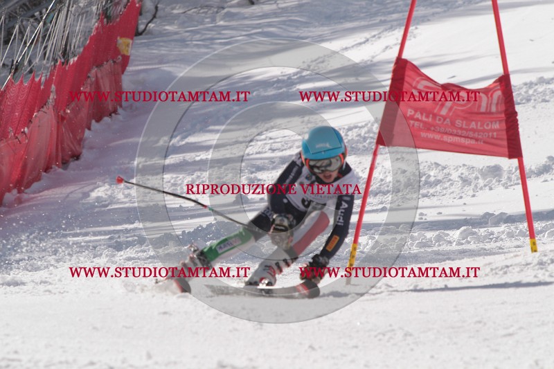 IMG_7006.JPG