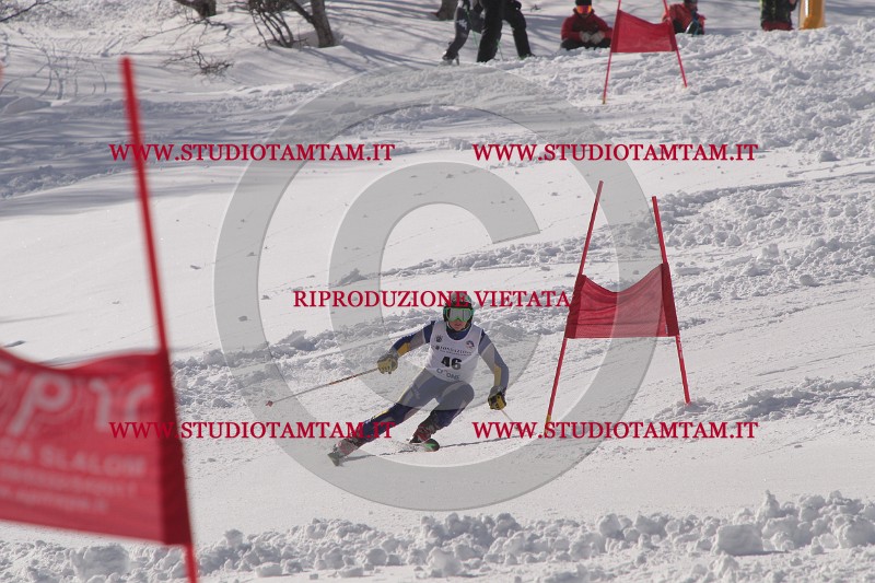 IMG_7083.JPG
