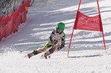 IMG_6803