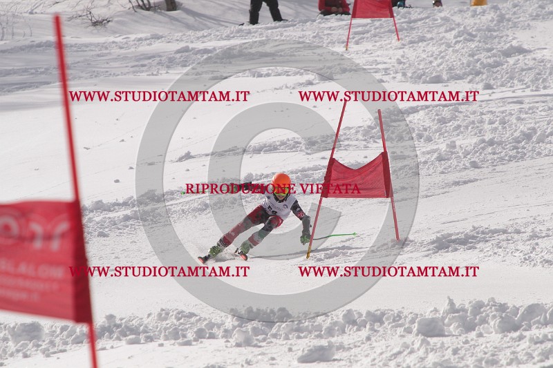IMG_7133.JPG