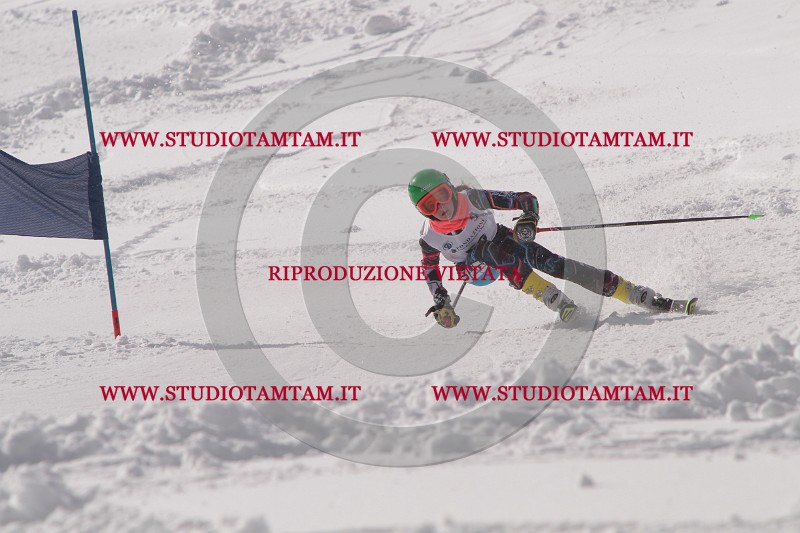 IMG_7163.JPG