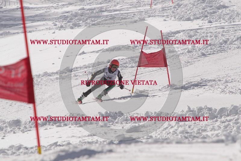 IMG_7345.JPG