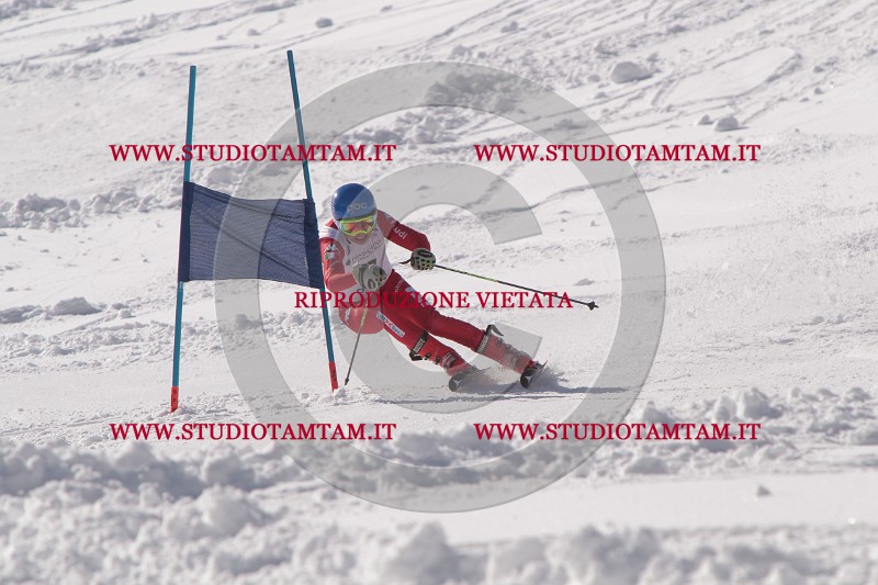 IMG_7357.JPG