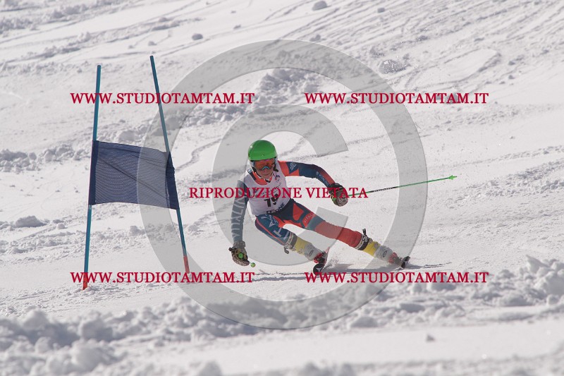 IMG_7376.JPG
