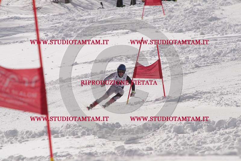 IMG_7415.JPG