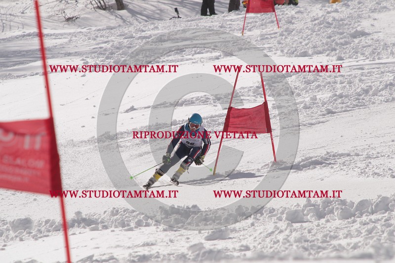 IMG_7425.JPG