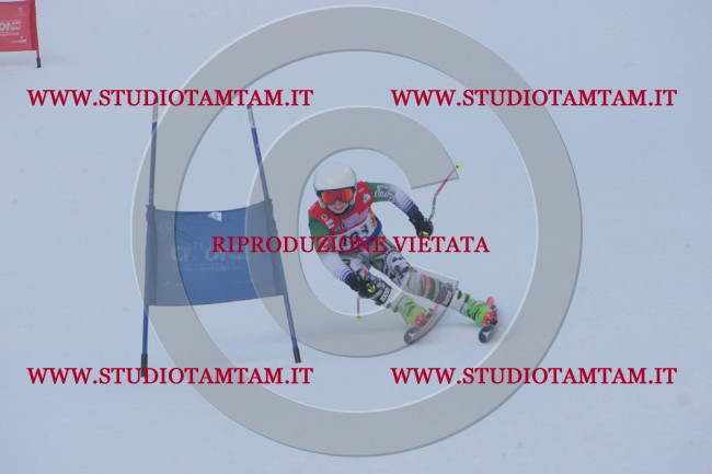 IMGB6279.JPG