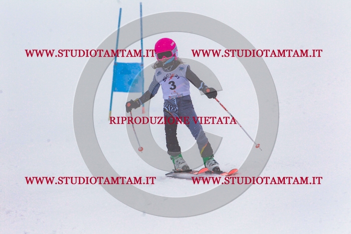 MAT_0151.jpg