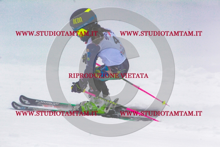 MAT_0162.jpg