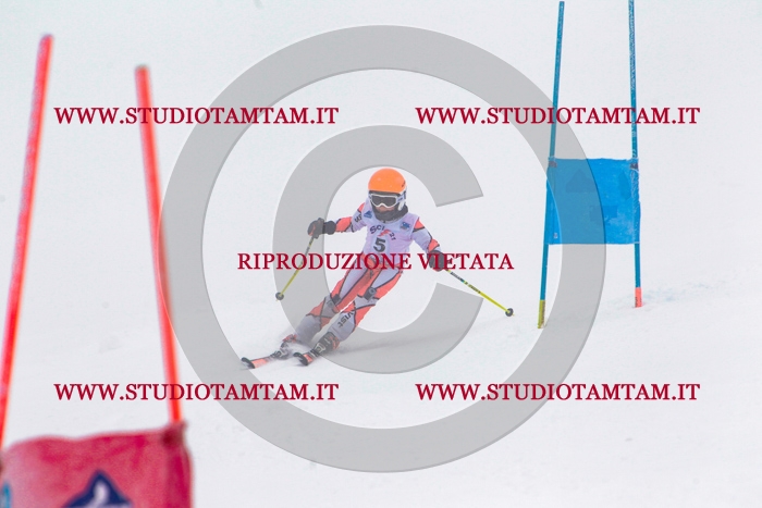 MAT_0165.jpg