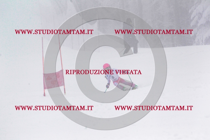MAT_0192.jpg
