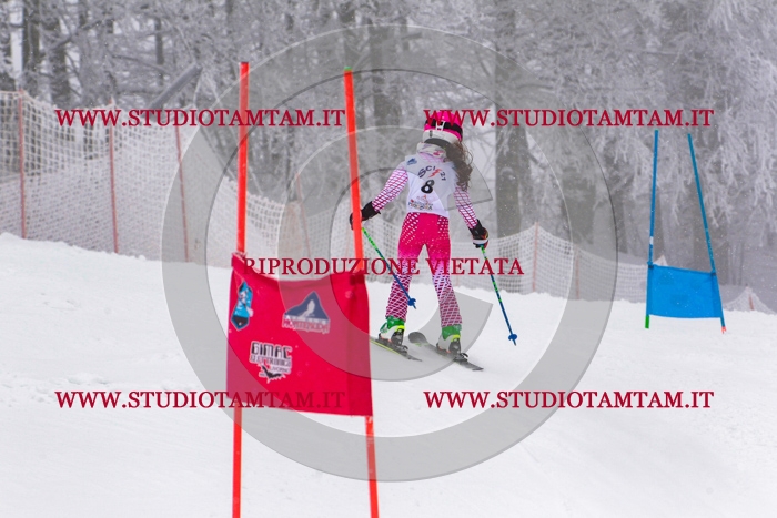MAT_0200.jpg