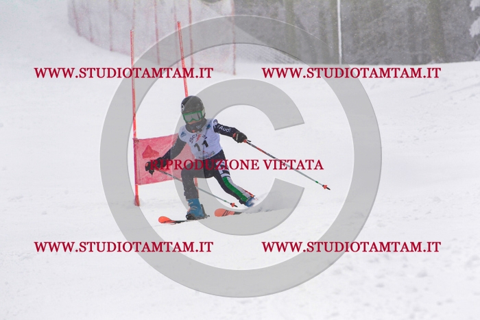 MAT_0225.jpg