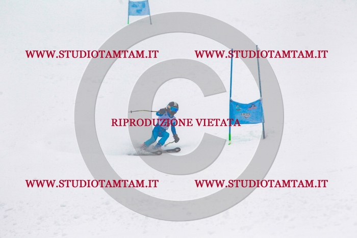 MAT_0233.jpg