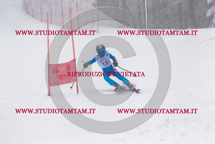 MAT_0236.jpg
