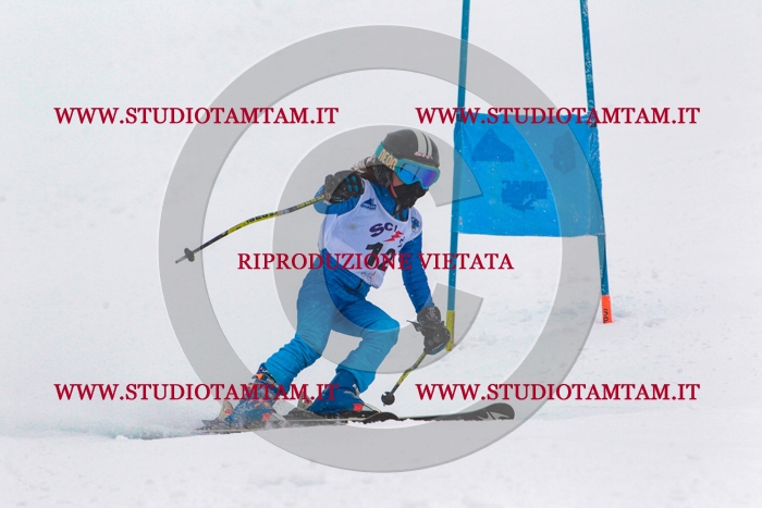 MAT_0241.jpg