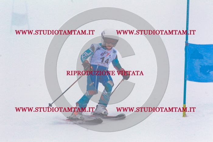 MAT_0250.jpg