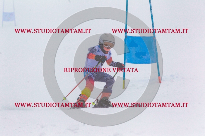 MAT_0271.jpg