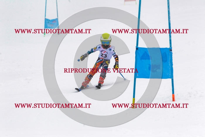 MAT_0333.jpg