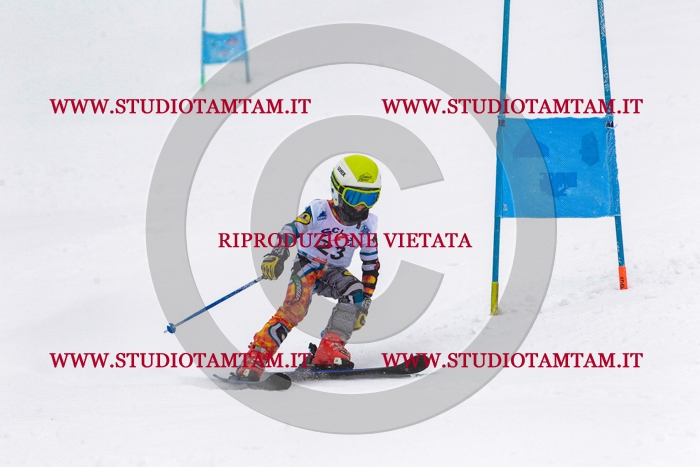 MAT_0335.jpg