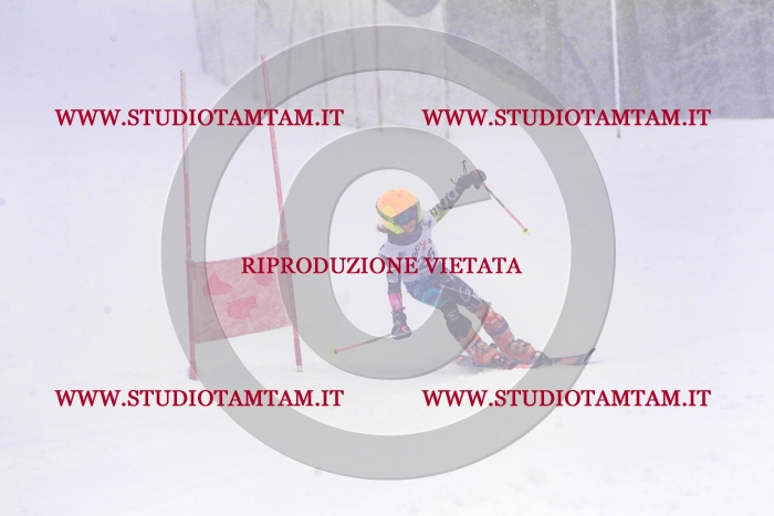 MAT_0363.jpg