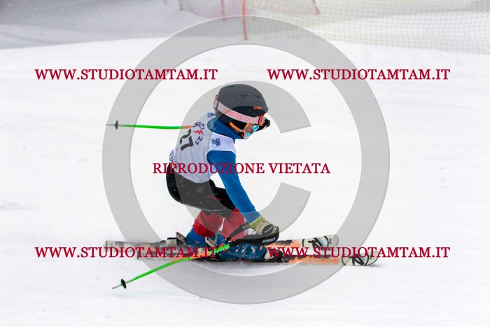 MAT_0380.jpg