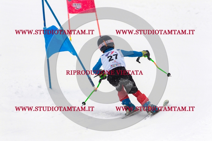 MAT_0381.jpg