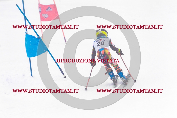 MAT_0395.jpg