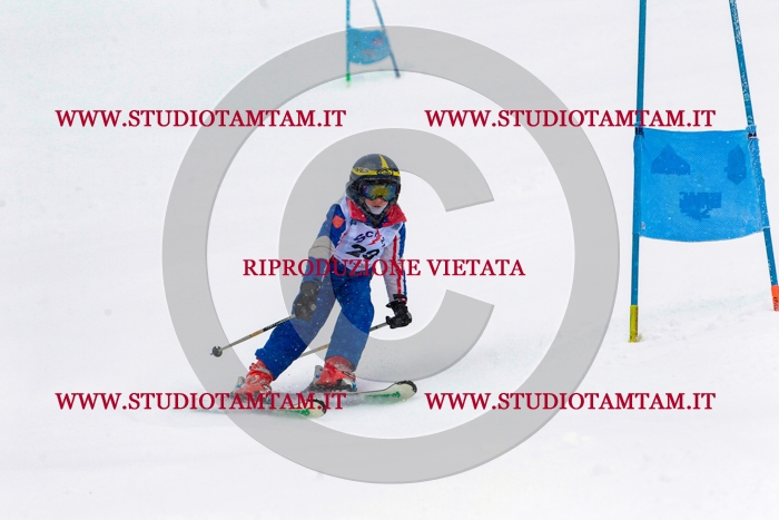MAT_0401.jpg