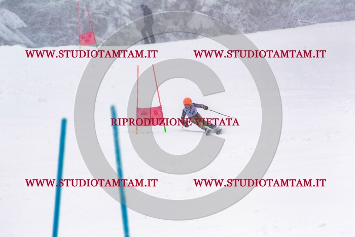 MAT_0407.jpg