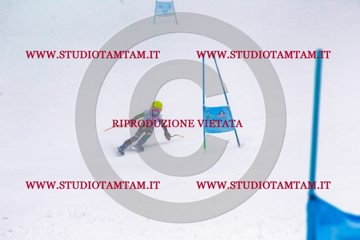 MAT_0429.jpg