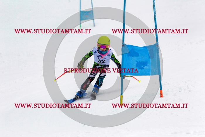 MAT_0433.jpg